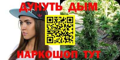 стаф Кулебаки